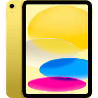 Koop iPad 10.9" 256GB Wifi - 194253390077